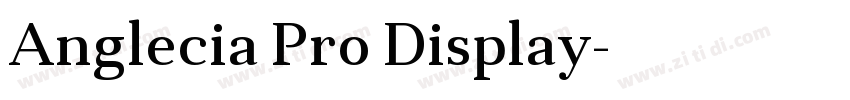 Anglecia Pro Display字体转换